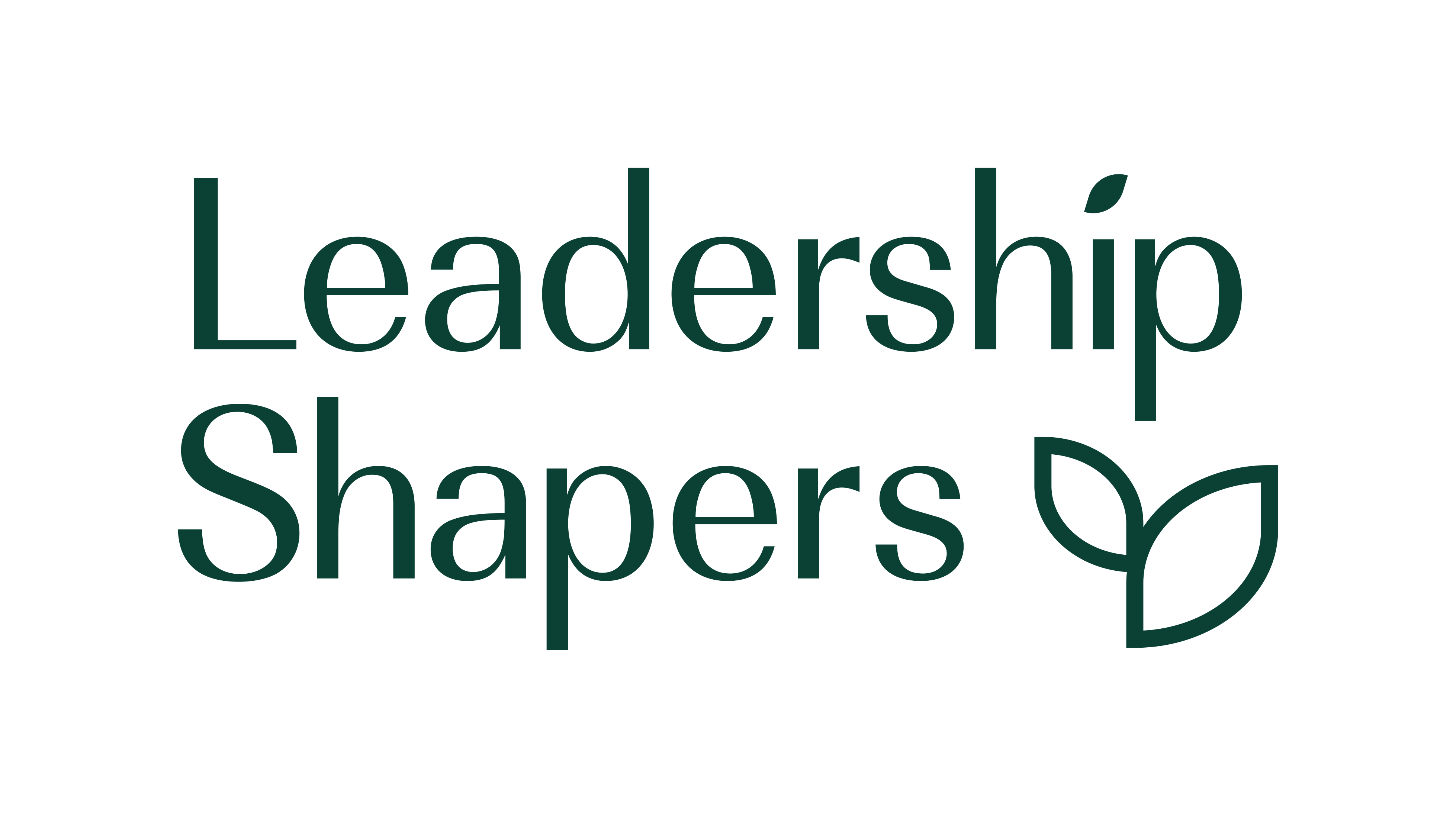 Leadership Shapers
