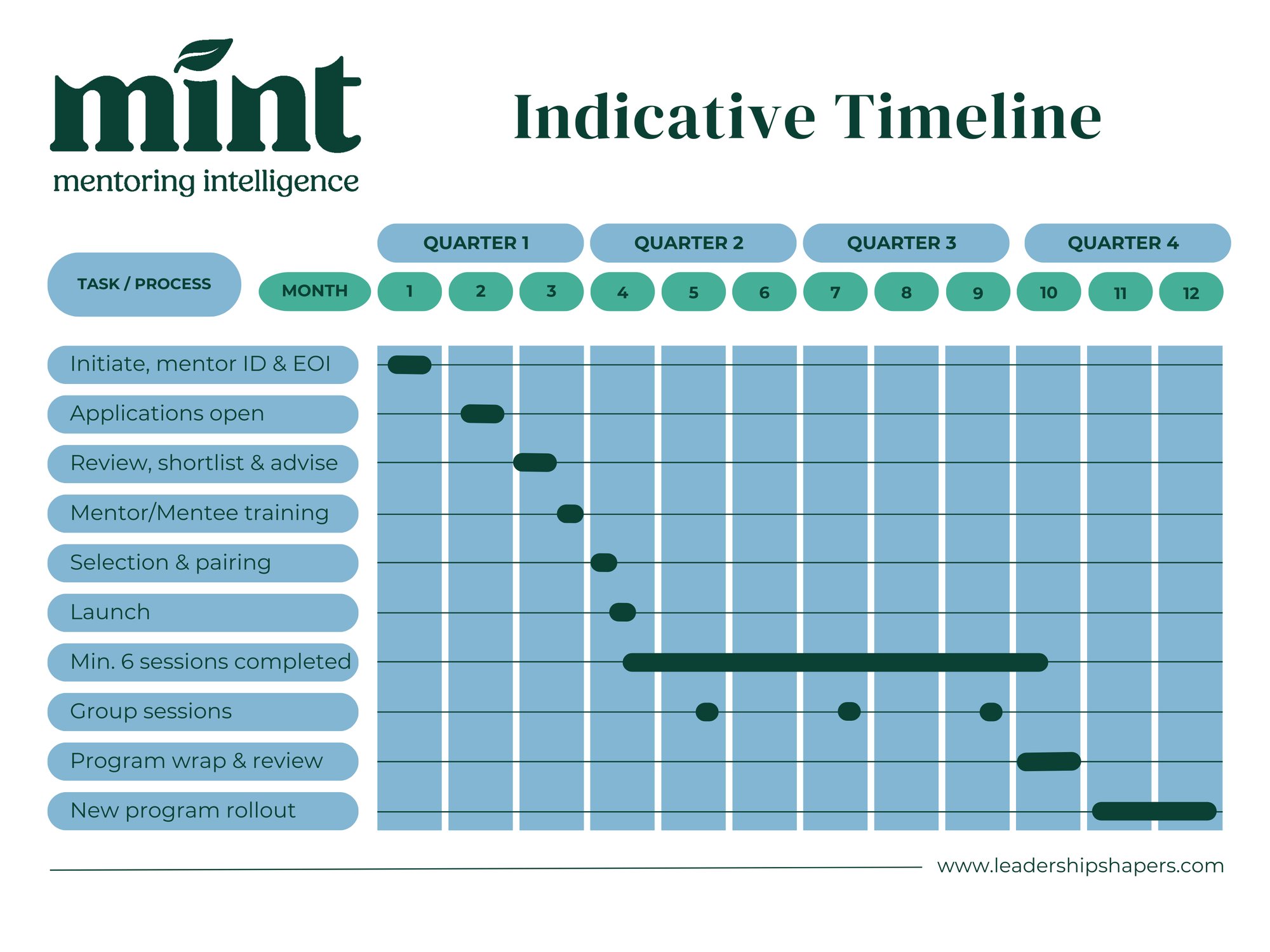 Mint Mentoring Program Timeline (4)
